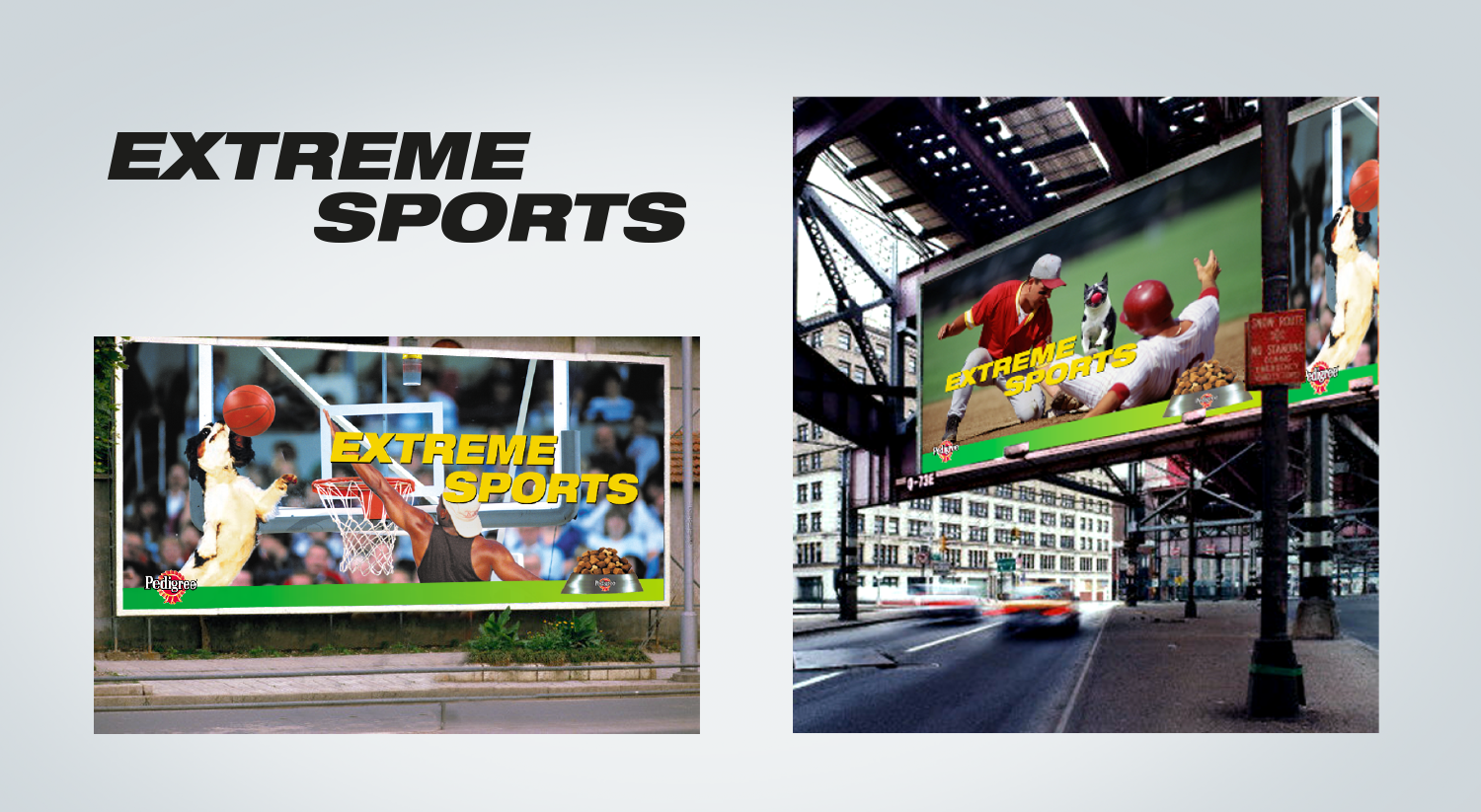 04 pedigree id 1500x844