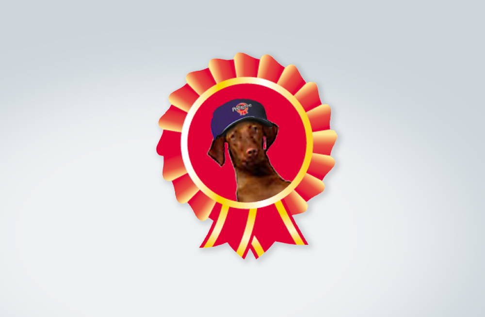 pp case 1000x654 - badge