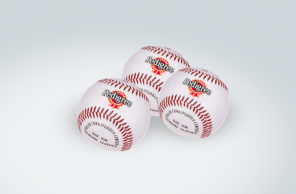 pp case 1000x654 - bollar